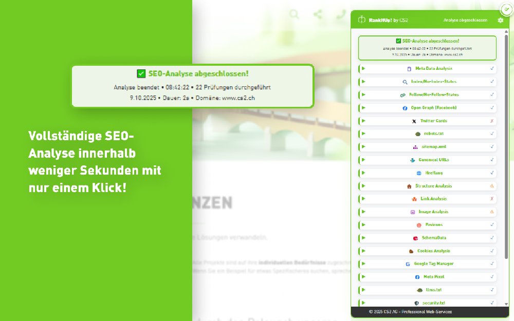 RankItUp! by CS2 zeigt wie die Nutzer innerhalb von 2 Sekunden eine ganze Website analysieren können