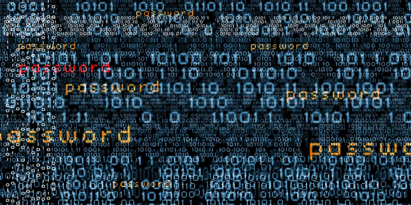 PantherMedia B50389329