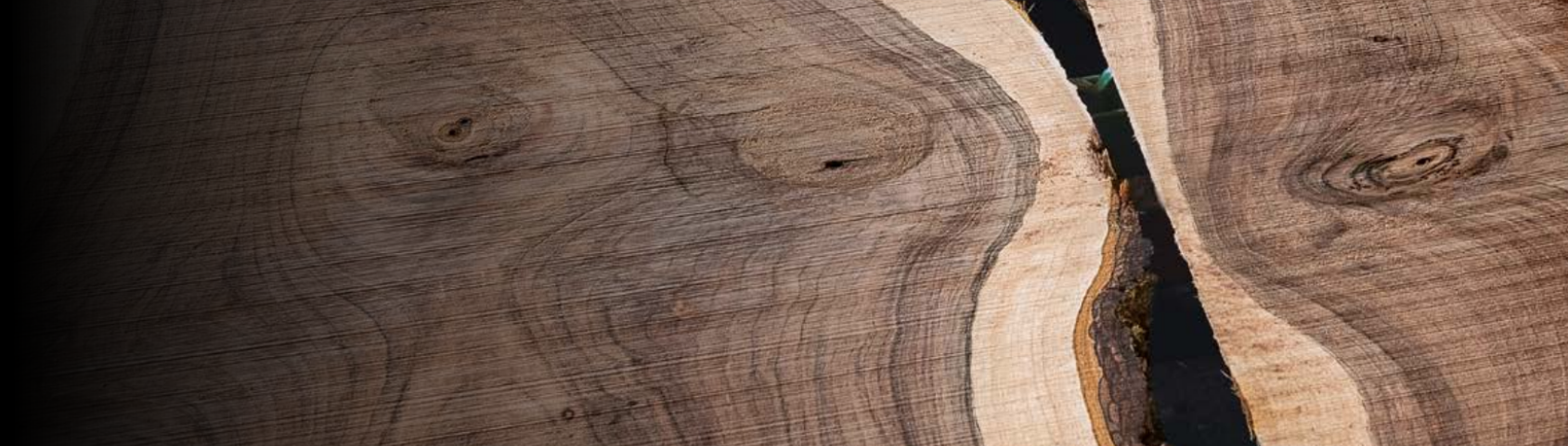 Im Fokus hier ist das Holz mit Jahresringen 
