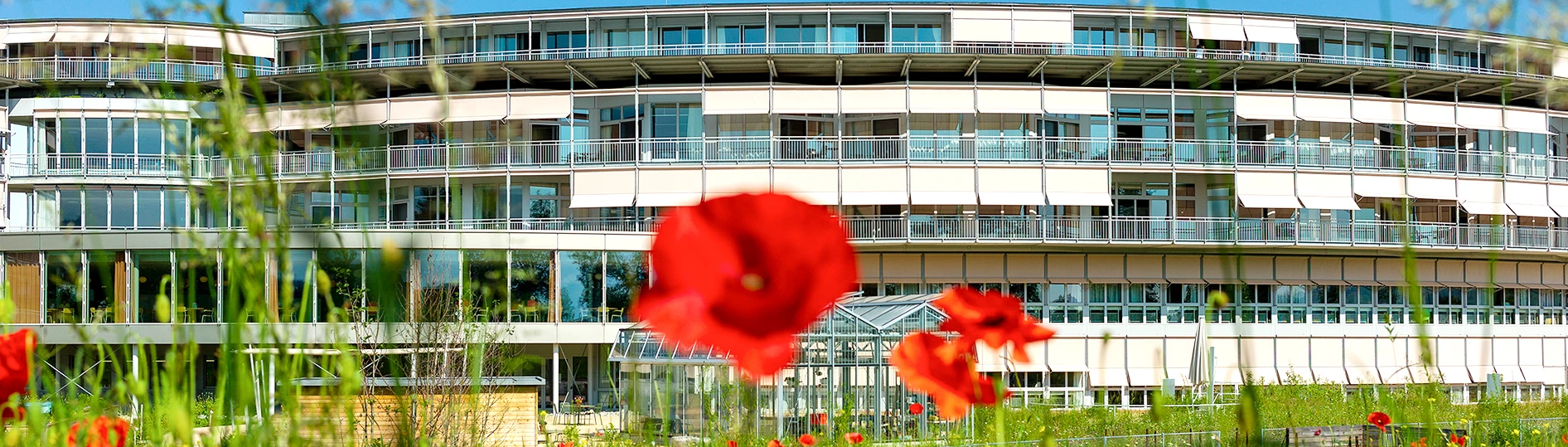 Fassadenansicht Gebäude SPZ in Nottwil am Sempachersee mit Mohnblume im Vordergrund