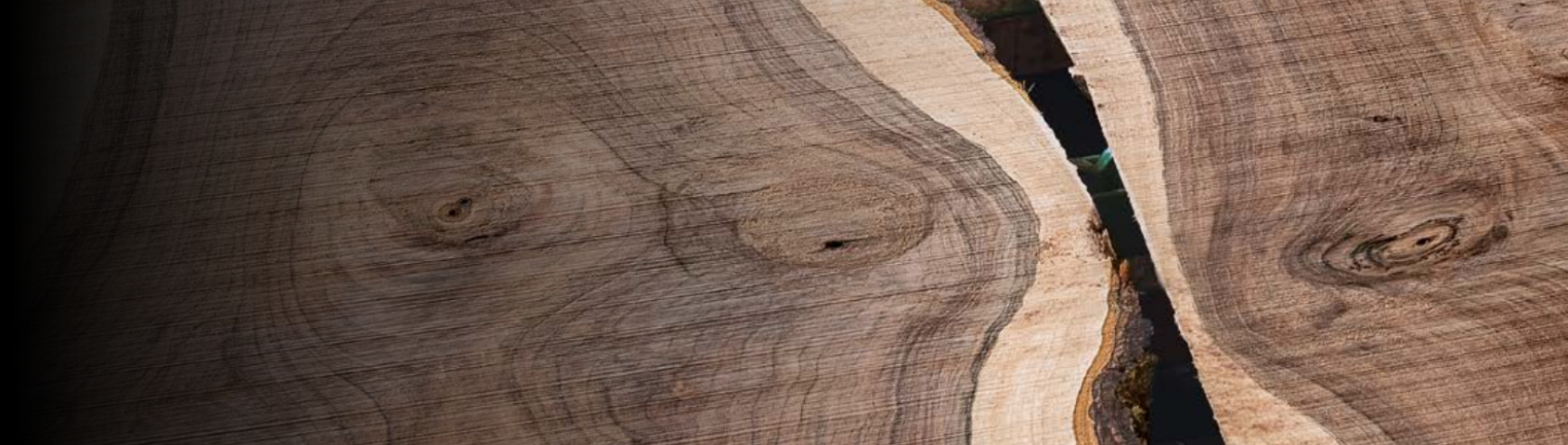 Im Fokus hier ist das Holz mit Jahresringen 