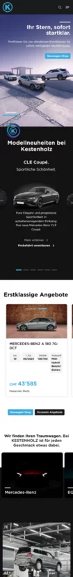 CS2 für Kestenholz Gruppe