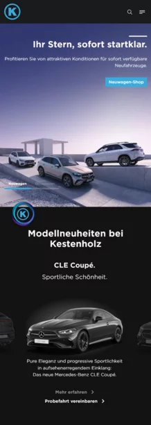 CS2 für Kestenholz Gruppe