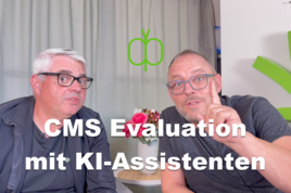 CMS-Evaluation mit KI-Assistenten richtig durchgeführt