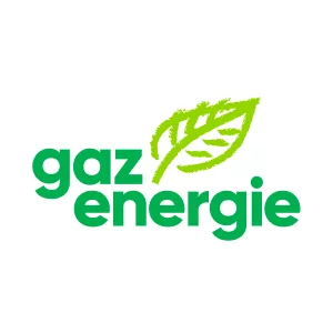CS2-Referenz | Logo VSG Verband der Schweiz. Gasindustrie