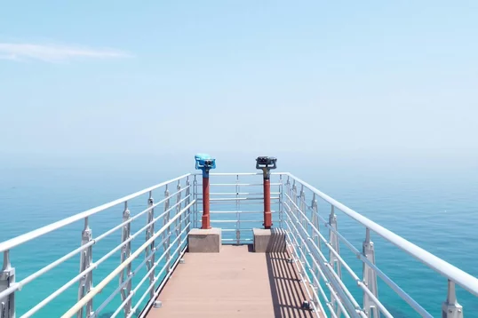 25 Suchmaschinen, 1 SEO-Strategie