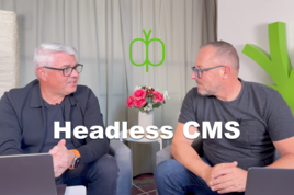 Headless CMS einfach erklärt