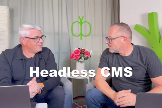 Headless CMS einfach erklärt