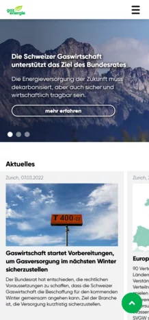 CS2 für Gazenergie
