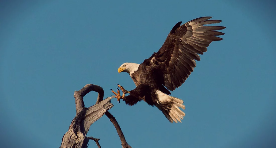 Vier Profitipps für bessere Landingpages