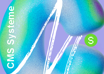 Titelbild Magazin mit Thema Content Management Systeme - CMS